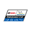 IMSA Michelin Endurance Cup